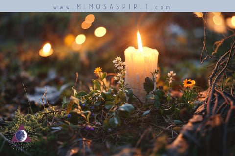 Ostara & The Wheel of the Year