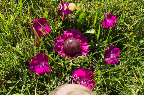 Healing Properties of Red Aventurine: A Crystal for Passion & Perseverance