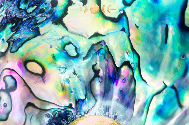 Healing Properties of Abalone Shell