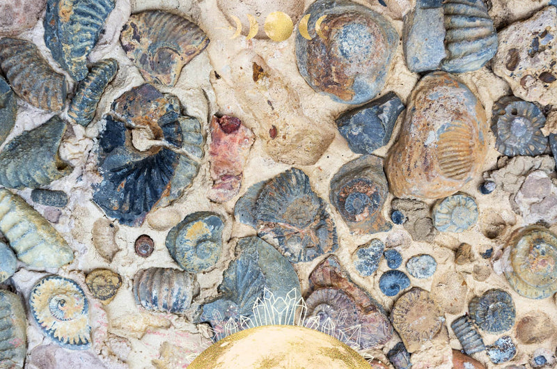 Healing Properties of Fossils: Crystals for Protection & Journey Work