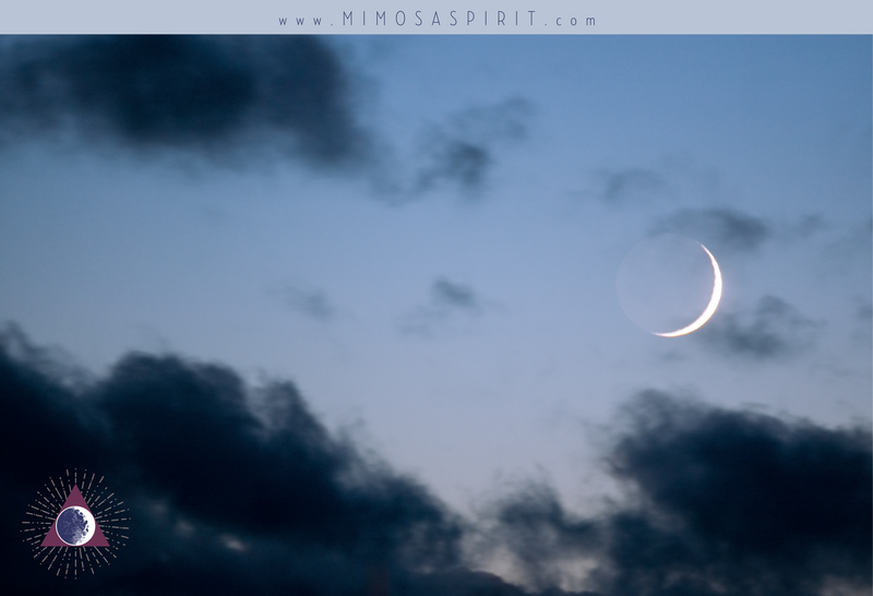 New Year, New Moon by Payton Udo