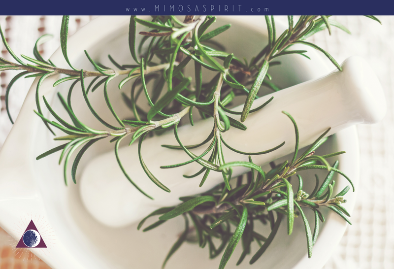 Rosemary For Clearing The Way