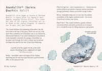 Little Book of Crystals by Judy Hall