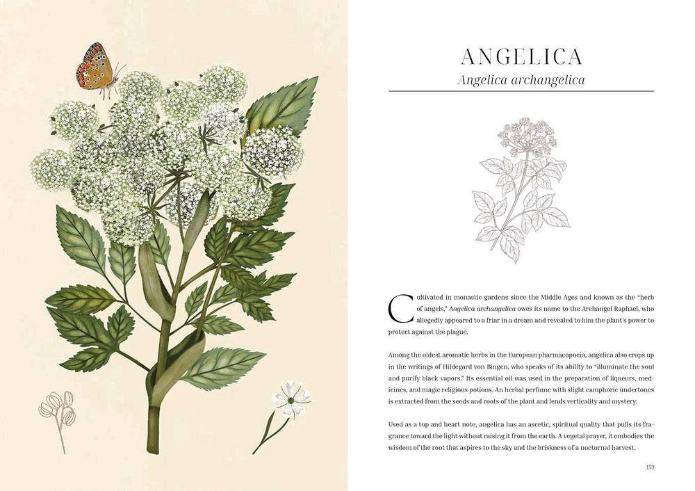 Olfactory Code by Caterina Roncati & Marlamú