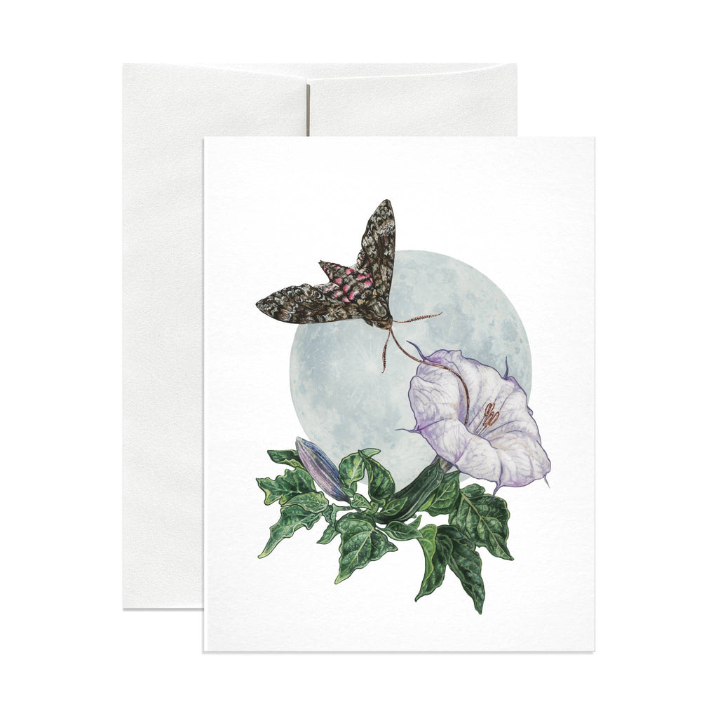 Datura Poison Greeting Card