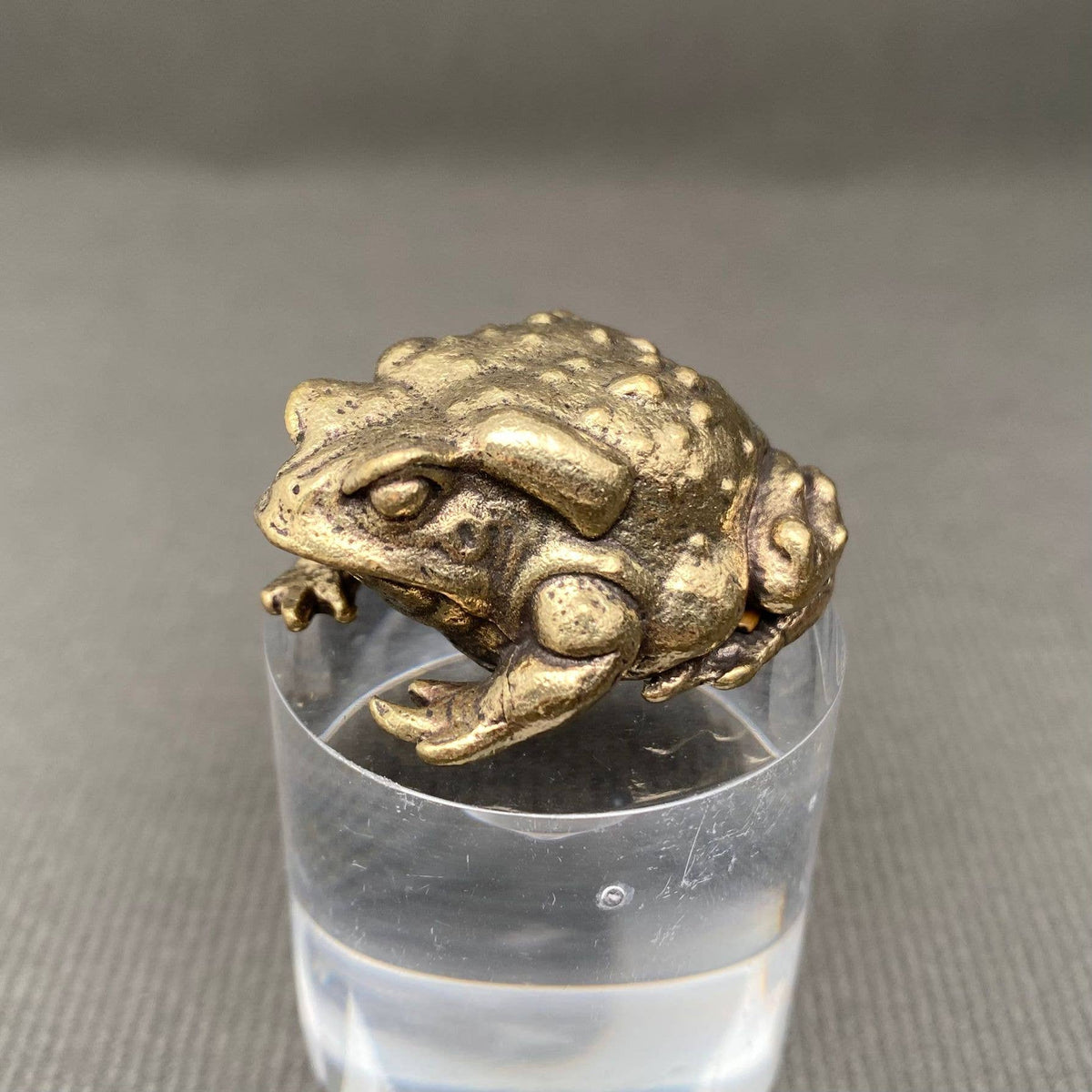 Brass Warty Toad Decoration