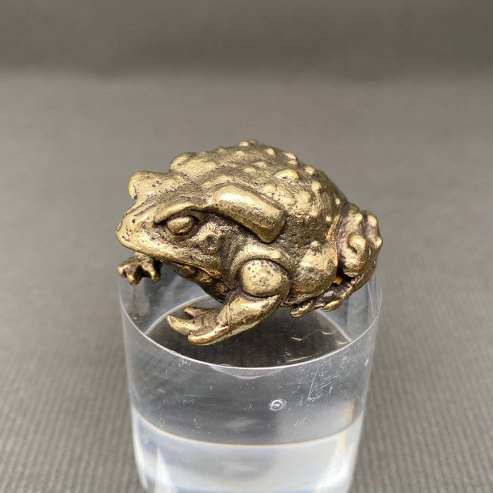 Brass Warty Toad Decoration
