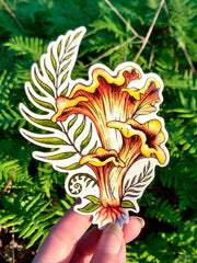Golden Chanterelle Vinyl Sticker