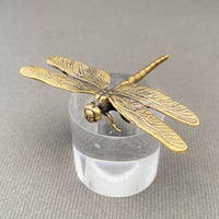 Brass Dragonfly Decoration