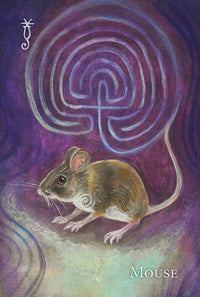A Witch's Ally Oracle by Laura Tempest Zakroff & Dodie Graham McKay