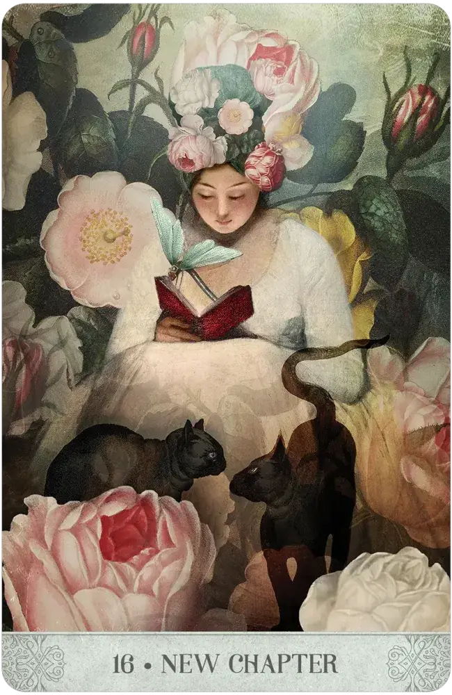 Botanical Dreams Oracle by Catrin Welz-Stein & Lynn Araujo