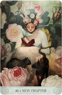 Botanical Dreams Oracle by Catrin Welz-Stein & Lynn Araujo