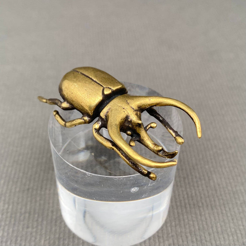 Brass Rhinoceros Beetle Decoration