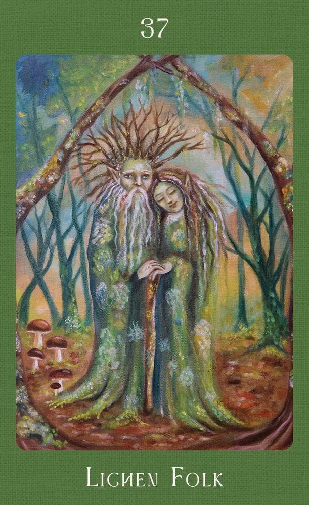Mushroom Folk Oracle By Sharon McLeod