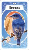 Avian Oracle by Sandra Kynes and Gianna Rini