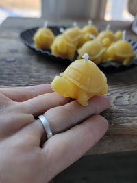 Beeswax Mini Turtle Candles