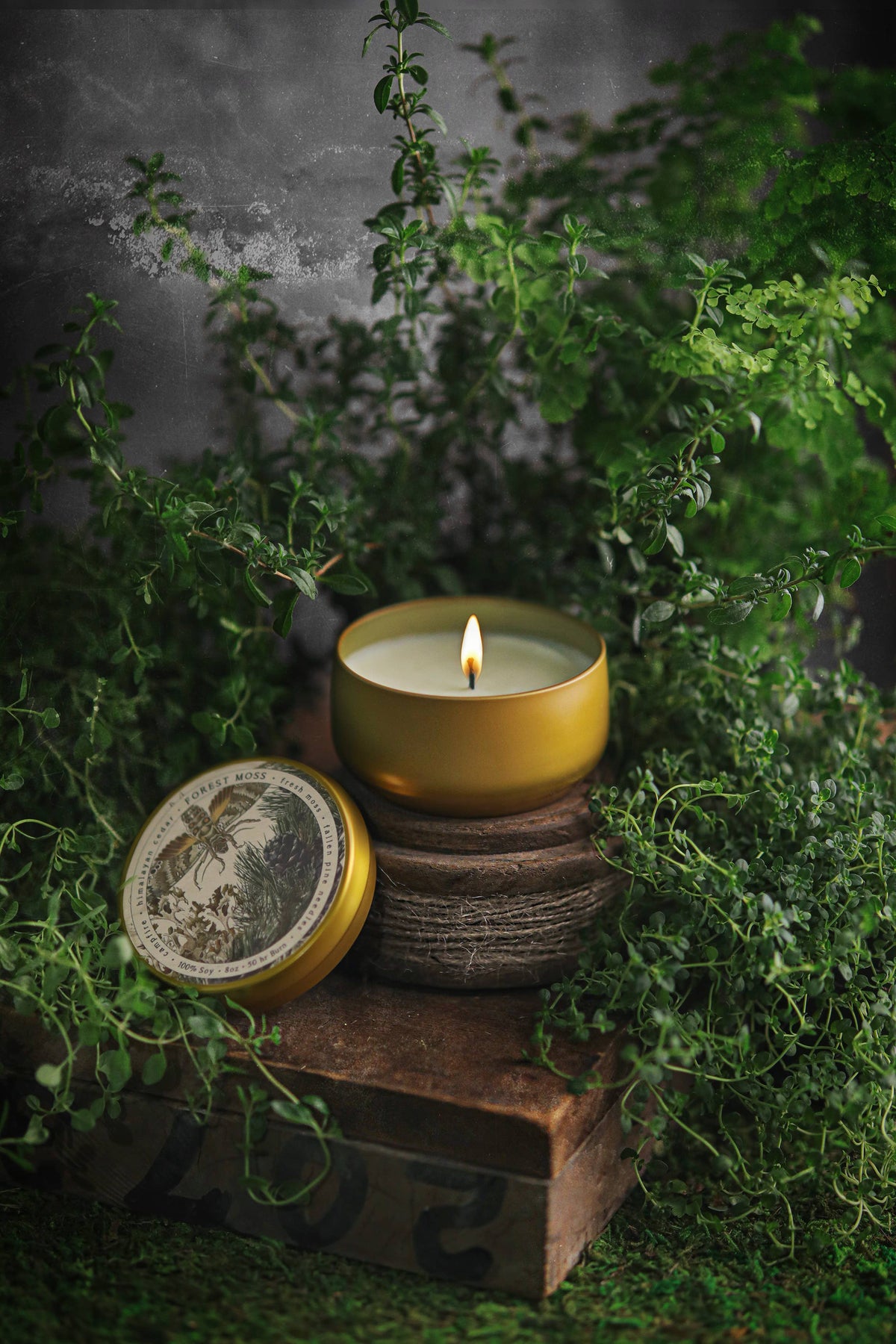 Forest Moss Candle