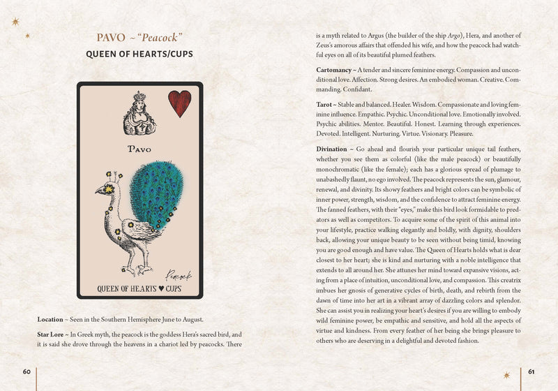 Starlore Arcana Card Deck by Nitasia Roland