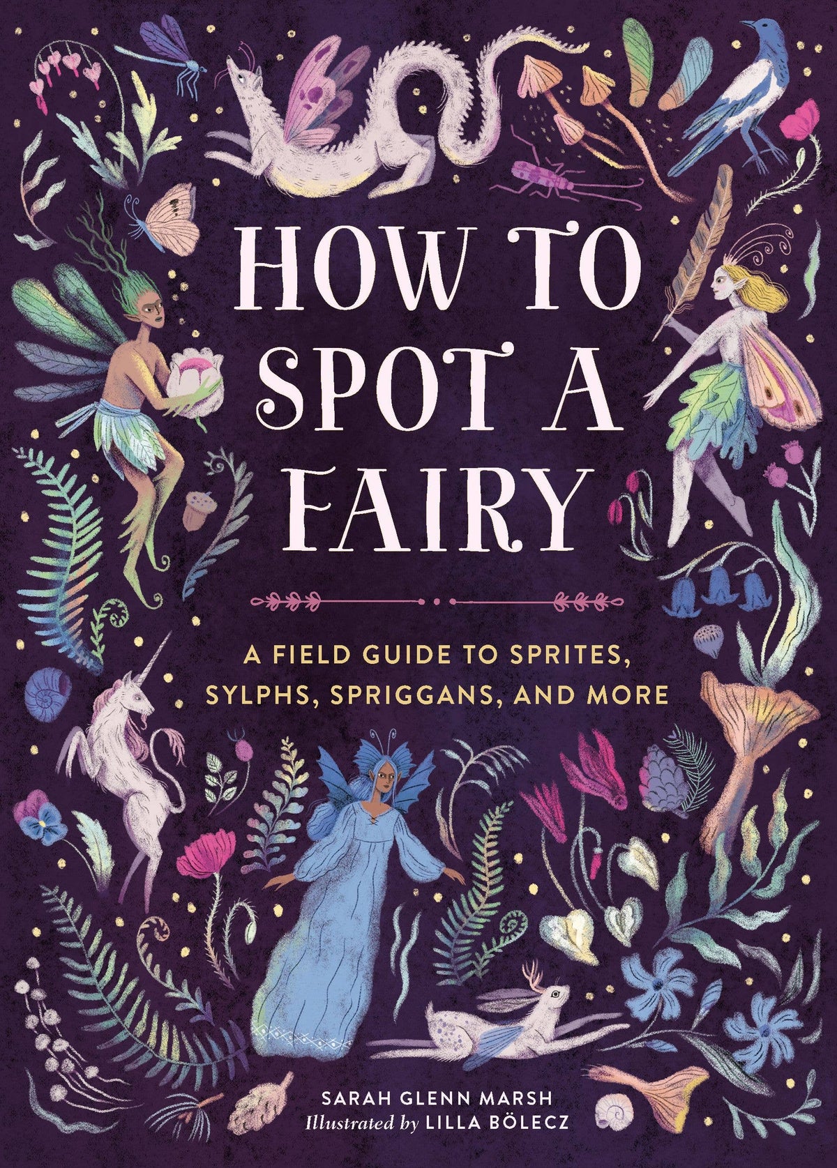 How to Spot a Fairy by Sarah Glenn Marsh
