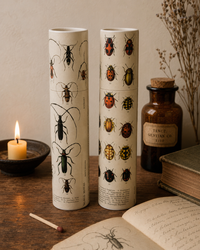 Vintage Entomology Tube Matches