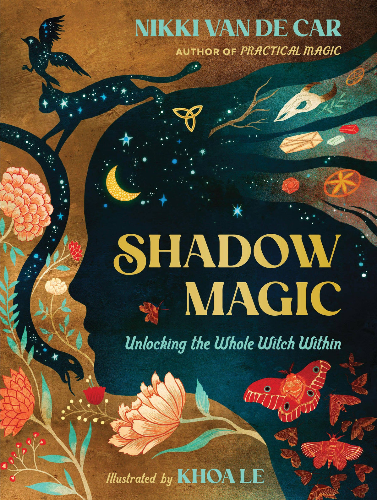 Shadow Magic by Nikki Van De Car