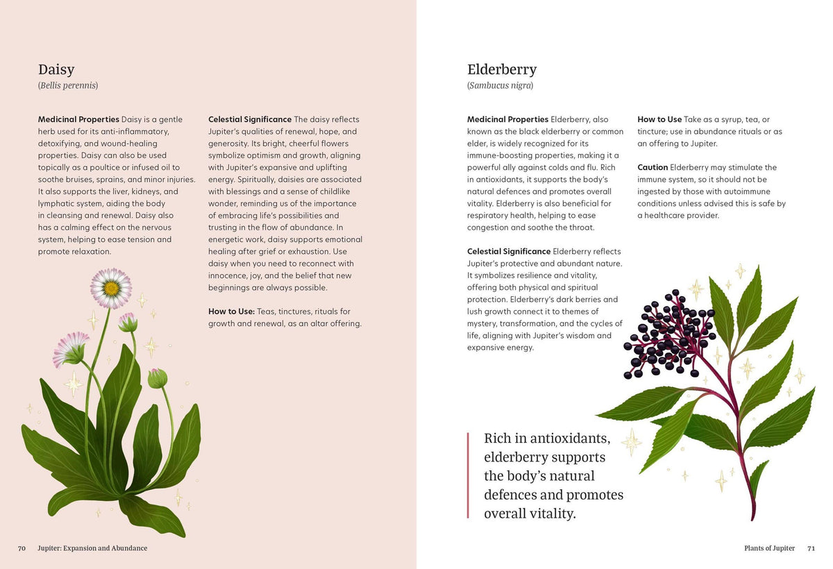 Astro Herbalism by Jessica Rosset