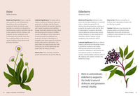 Astro Herbalism by Jessica Rosset