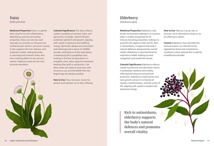 Astro Herbalism by Jessica Rosset
