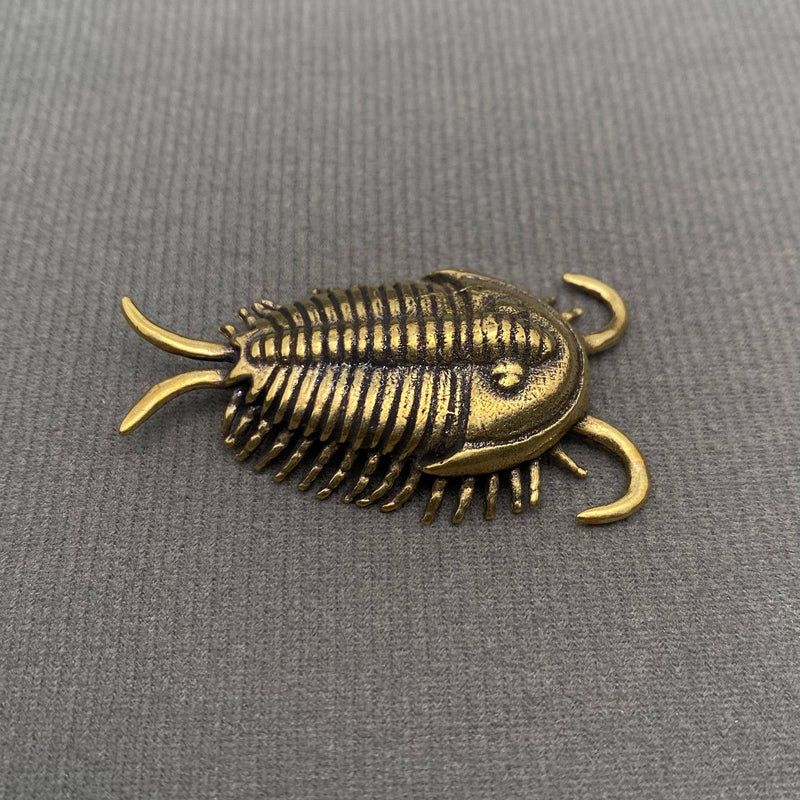 Brass Trilobite