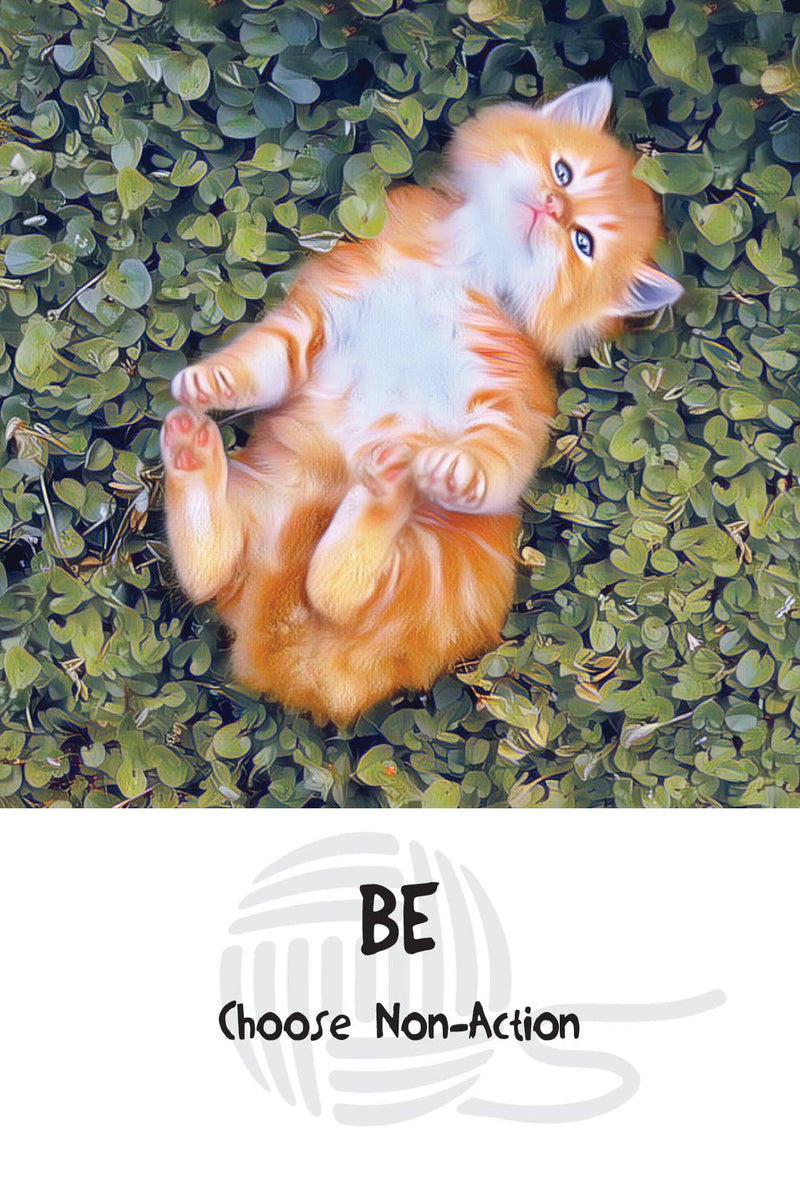 Cosmic Cat Wisdom Cards by Barb Horn and Randy Crutcher