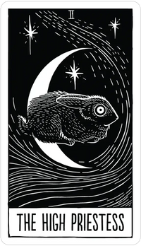 Star String Tarot by Eliza Kingsbury