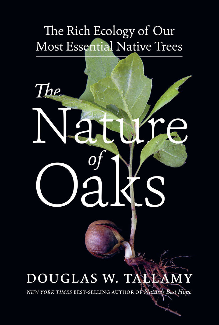 Nature of Oaks by Douglas W. Tallamy