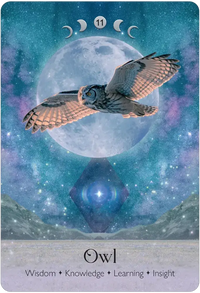 Lunar Magic Oracle by Alice Kendall