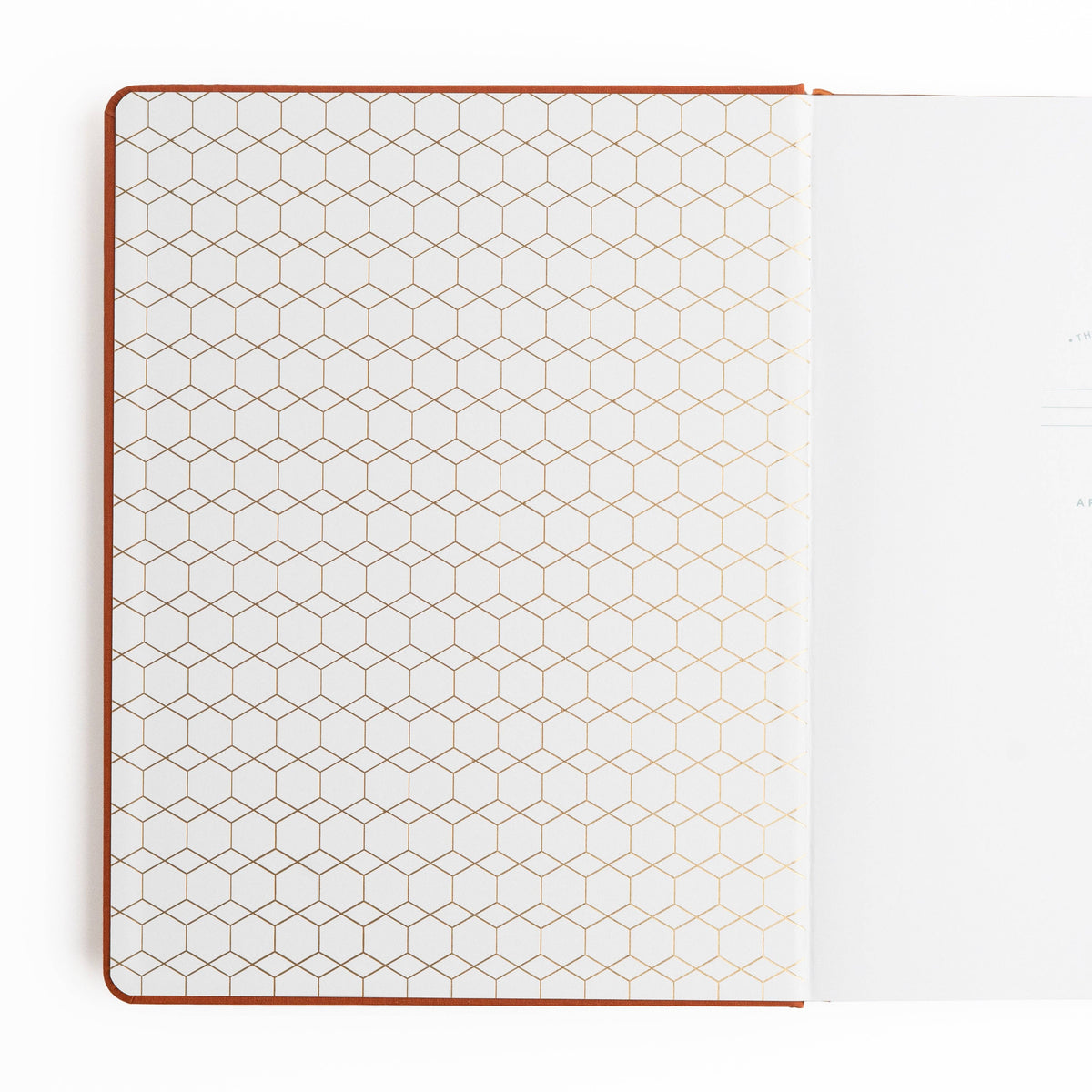 Keeper of the Bees in Rust Dot Grid Pocket Journal