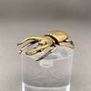 Brass Rhinoceros Beetle Decoration
