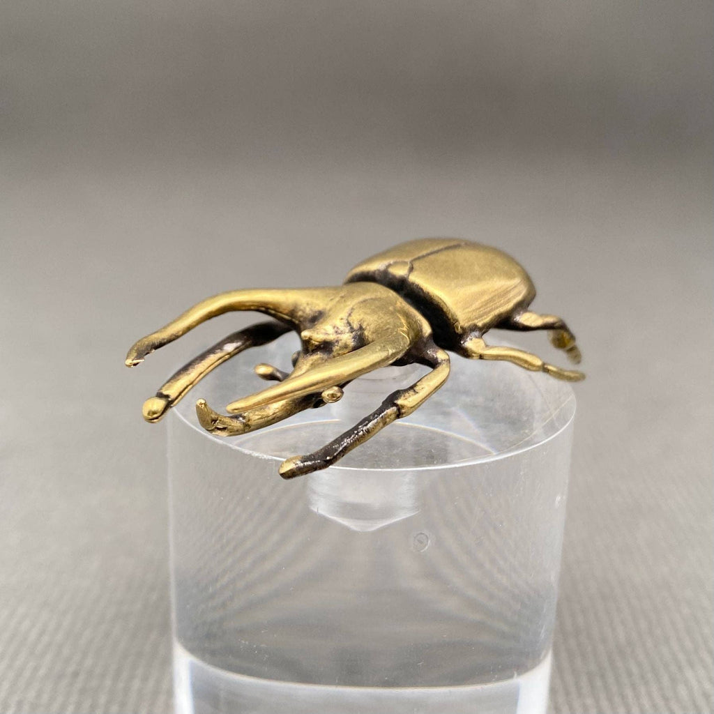 Brass Rhinoceros Beetle Decoration