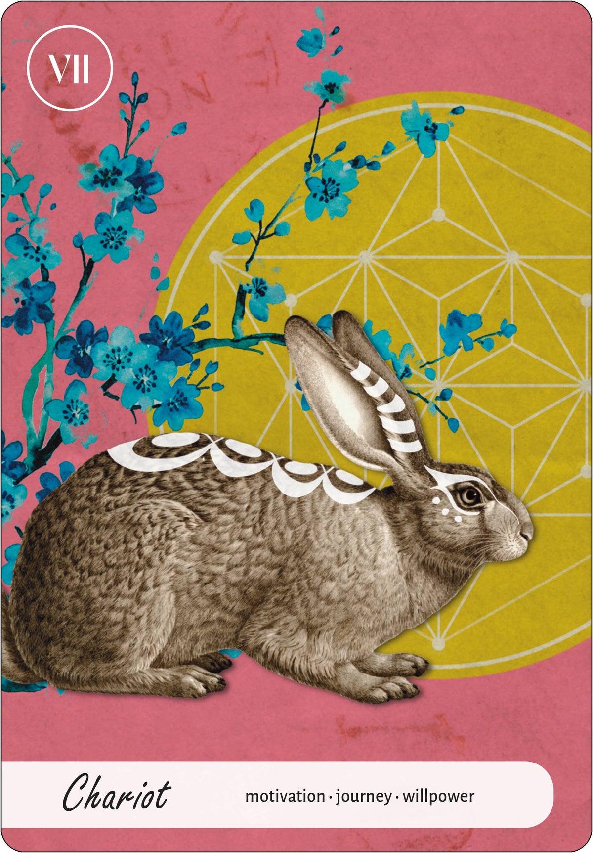 Wise Earth Medicine Tarot by Lalania Simone