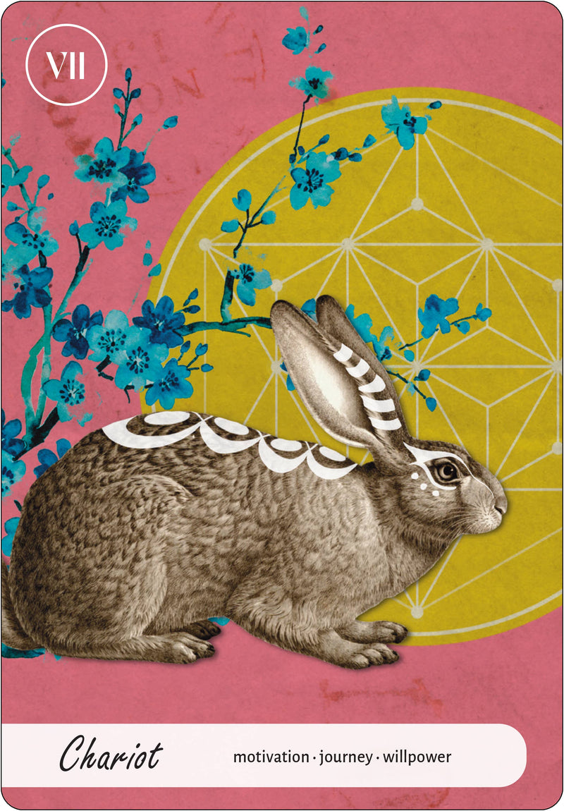 Wise Earth Medicine Tarot by Lalania Simone