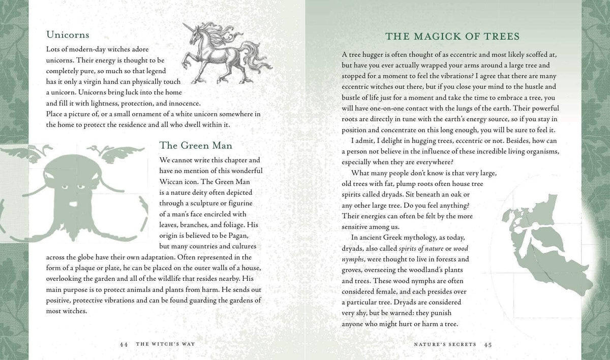 Witch's Way by Shawn Robbins & Leanna Greenway