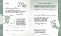 Witch's Way by Shawn Robbins & Leanna Greenway