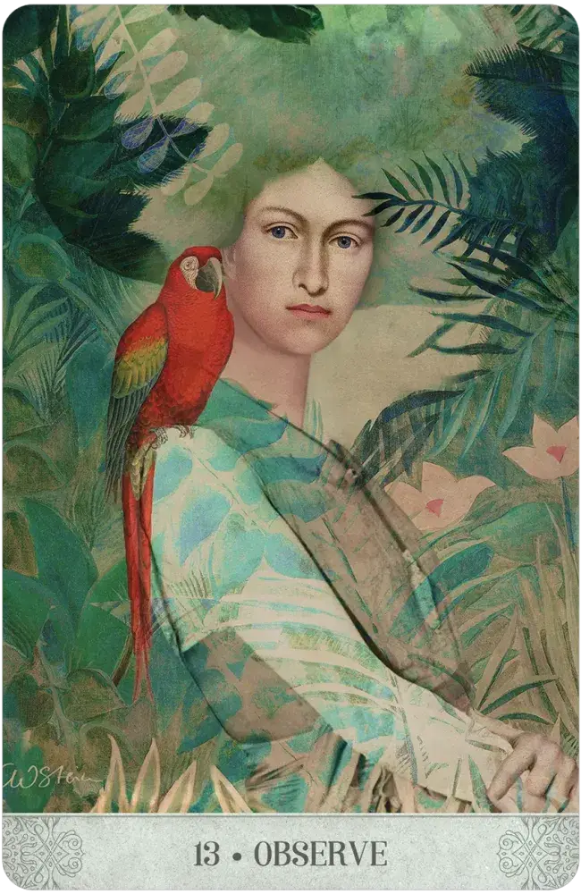 Botanical Dreams Oracle by Catrin Welz-Stein & Lynn Araujo
