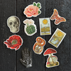 Vintage Mushroom Illustration Vinyl Sticker