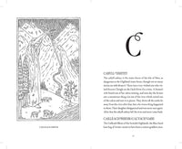 Brigg's Dictionary of Fairies by Katharine Briggs and Fee Greening
