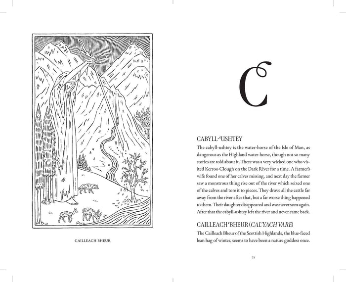 Brigg's Dictionary of Fairies by Katharine Briggs and Fee Greening