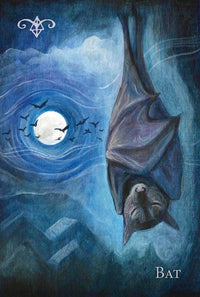 A Witch's Ally Oracle by Laura Tempest Zakroff & Dodie Graham McKay