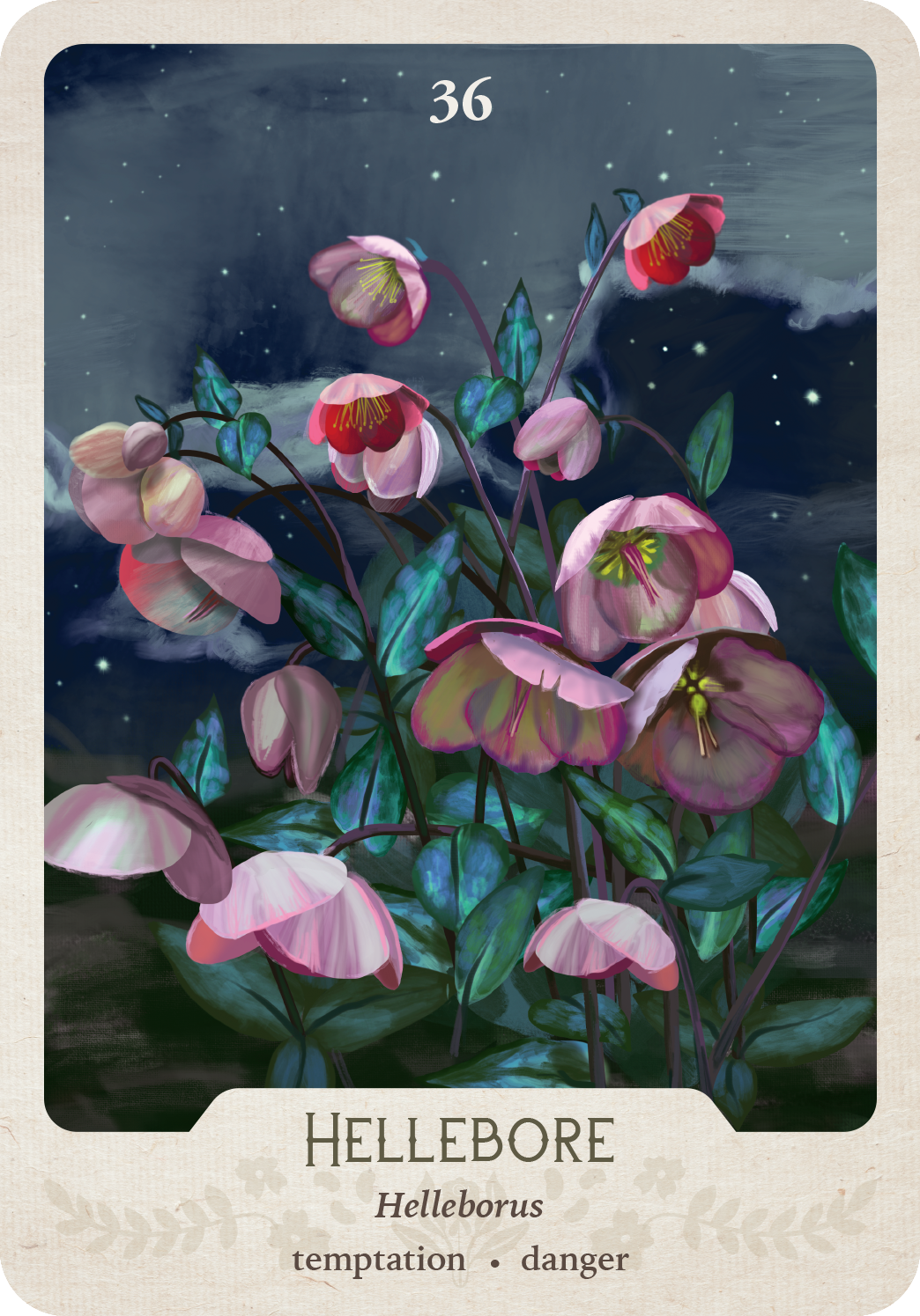 The Southern Botanic Oracle by Stacey Williams-Ng