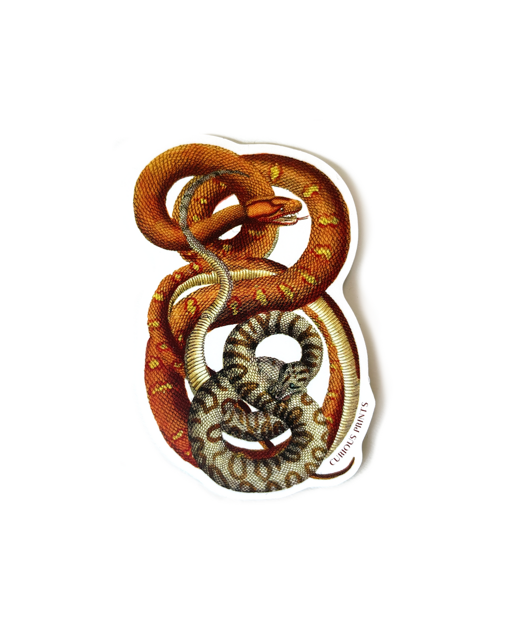 Intertwined Snakes Matte Vinyl Sticker