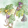 Llewellyn's 2024 Hedgewitch Botanical Calendar