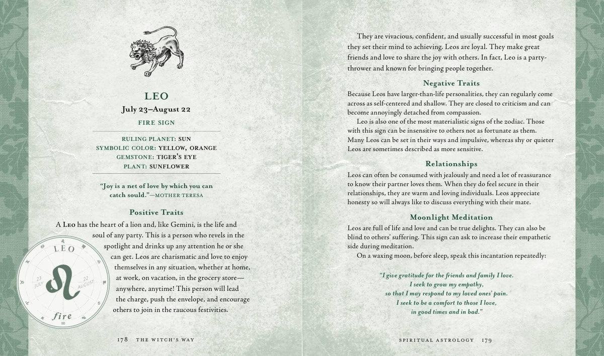 Witch's Way by Shawn Robbins & Leanna Greenway