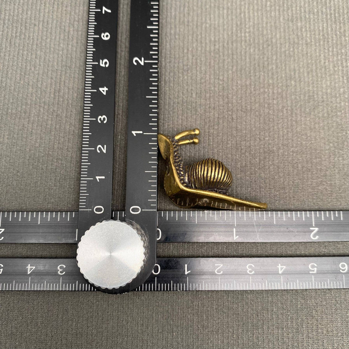 Brass Curious Snail Decoration
